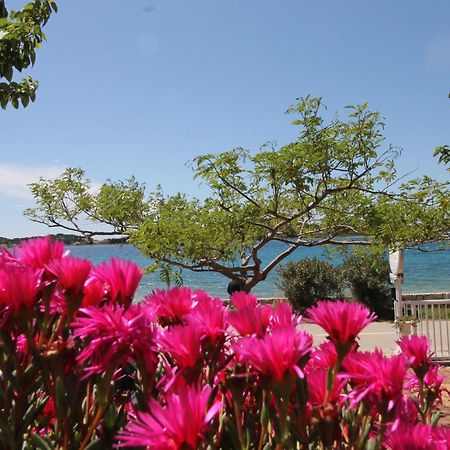 Villa Aurelia Vodice Kültér fotó