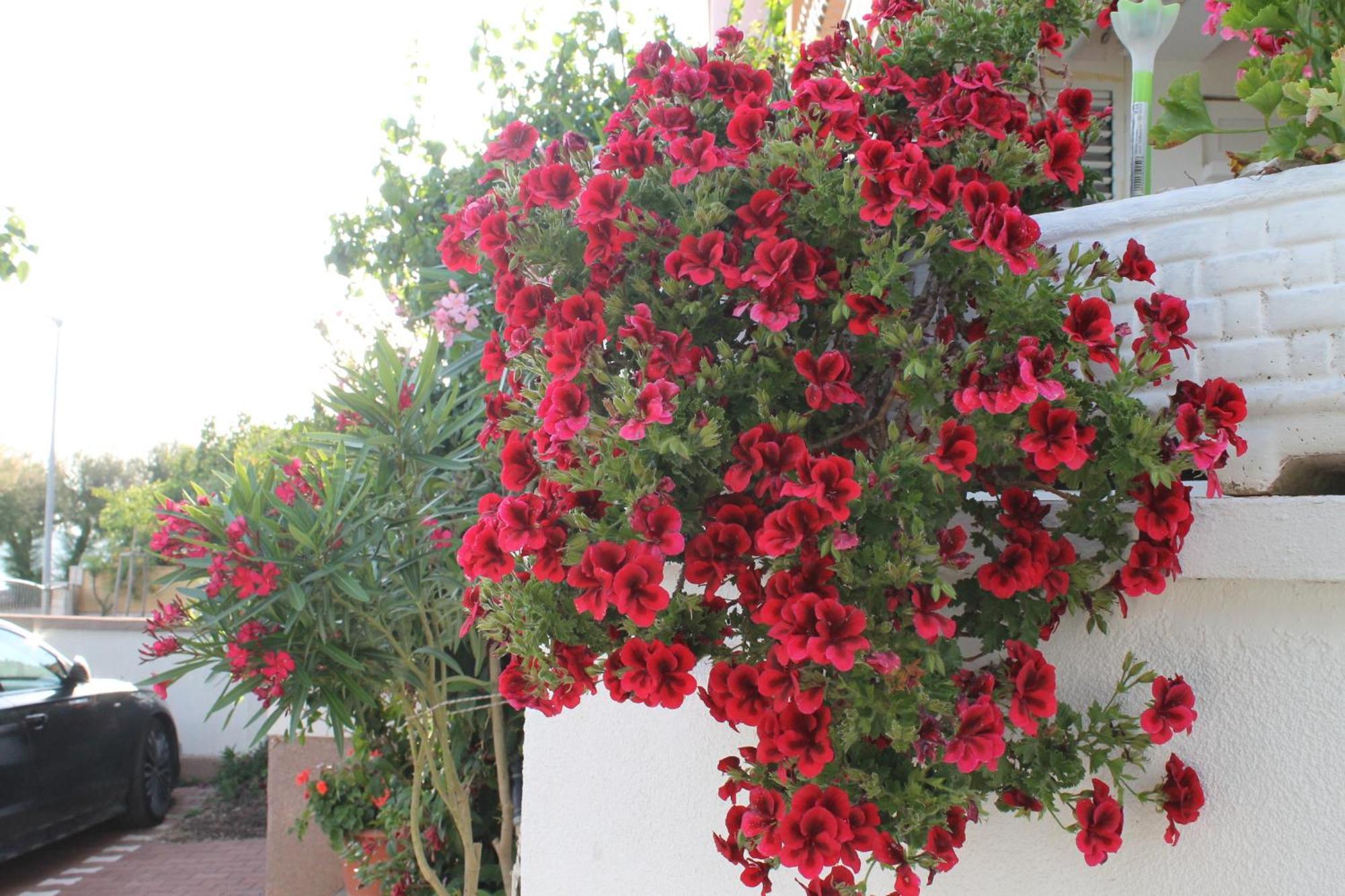 Villa Aurelia Vodice Kültér fotó